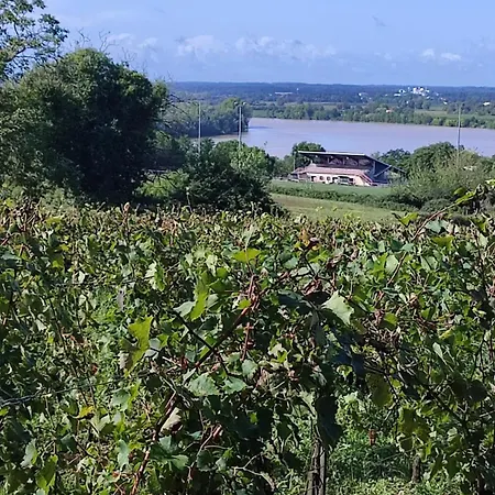 Maison Charmeilles - La Pomerol Maison d'hôtes Fronsac (Gironde)